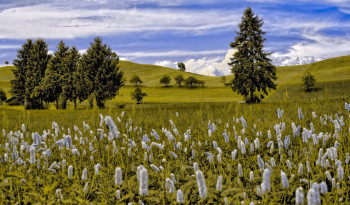 Highlights Of Southern Hills