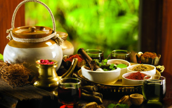 Fully Loaded Kerala With Houseboat Stay