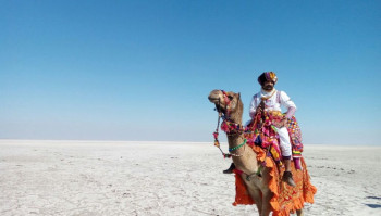 The White Rann