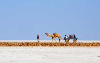 The White Rann