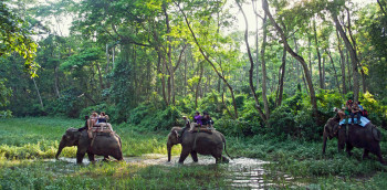Nepal With Wildlife