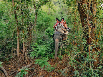 Short Trip To Corbett