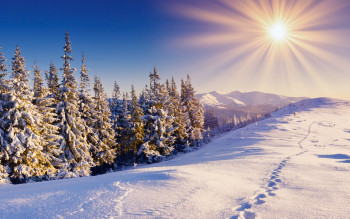Magic Of Manali With Chandigarh