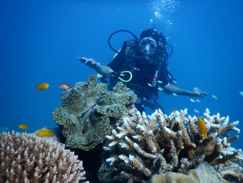 Andaman Trip For Couple – 6 nights Andaman package