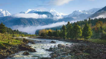 Exotic Kashmir
