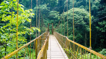 Delights Of Wayanad With Coorg