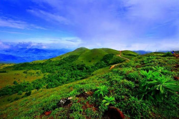 Delights Of Wayanad With Coorg
