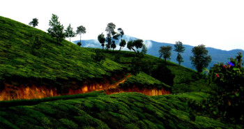 Royal Trip To Kerala