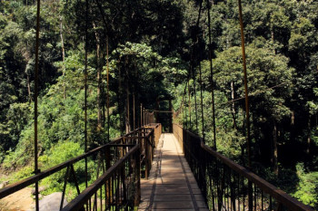 Simply Coorg