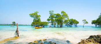 Incredible Andaman