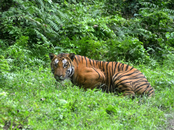Charm Of Uttarakhand