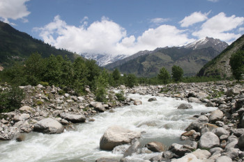 Vibrant! Beautiful Himachal