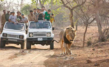 Short Trip To Diu & Gir
