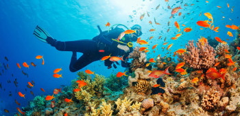 Amazing Andaman With Rameshwaram – 7 nights Andaman package