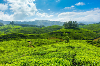 Fabulous Kerala With Goa
