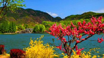 Kashmir Highlights