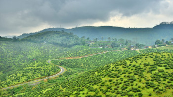 Magical  Kerala