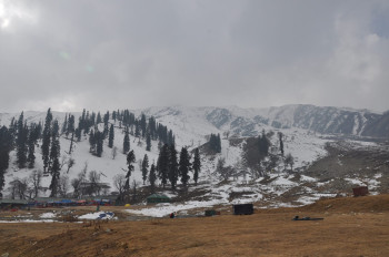 Majestic Kashmir
