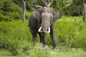 Stunning South India