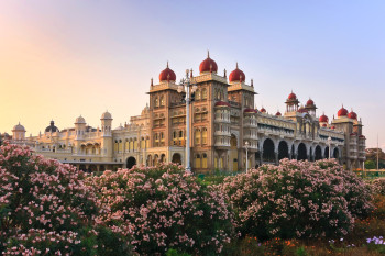 Best Of South India