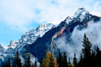 Himachal Delights