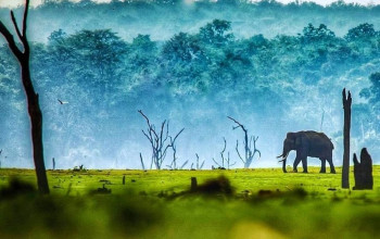 Scenic South India