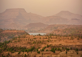 Gujarat Delights