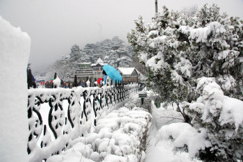 Majestic Himachal