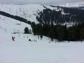 MAJESTIC KASHMIR (Ex. Udhampur)