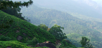 Dazzling South India