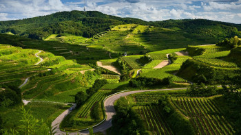 Mesmerizing South India