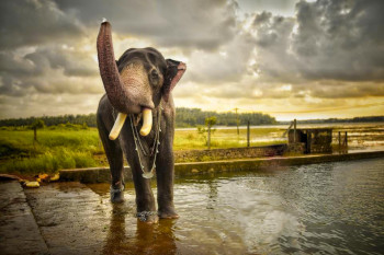 Marvellous South India