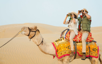 Dazzling Rajasthan