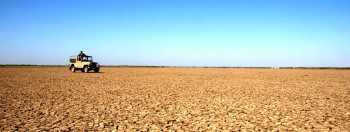 Mesmerizing Gujarat