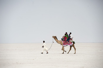 Mesmerizing Gujarat