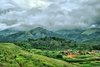 Short Trip To Wayanad & Guruvayur