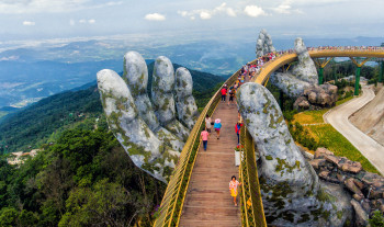 Colorful flowers blooming in peaceful Vietnamese countryside garden