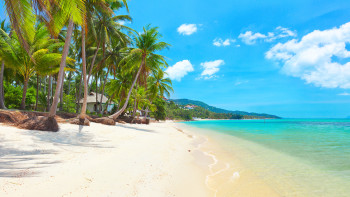 Thailand Full Moon Party Island Special