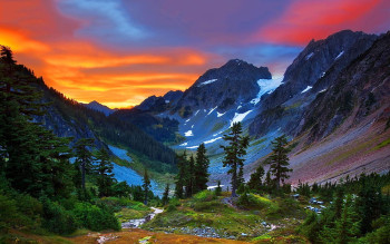 Delights Of North India