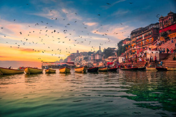 Delights Of UP