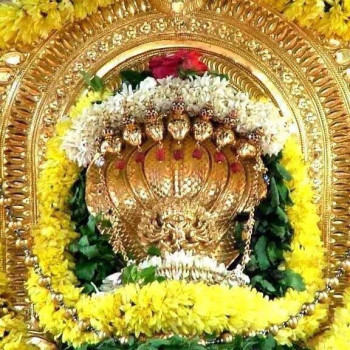 Fantastic Gokarna