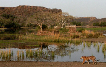 Glimpse Of Rajasthan