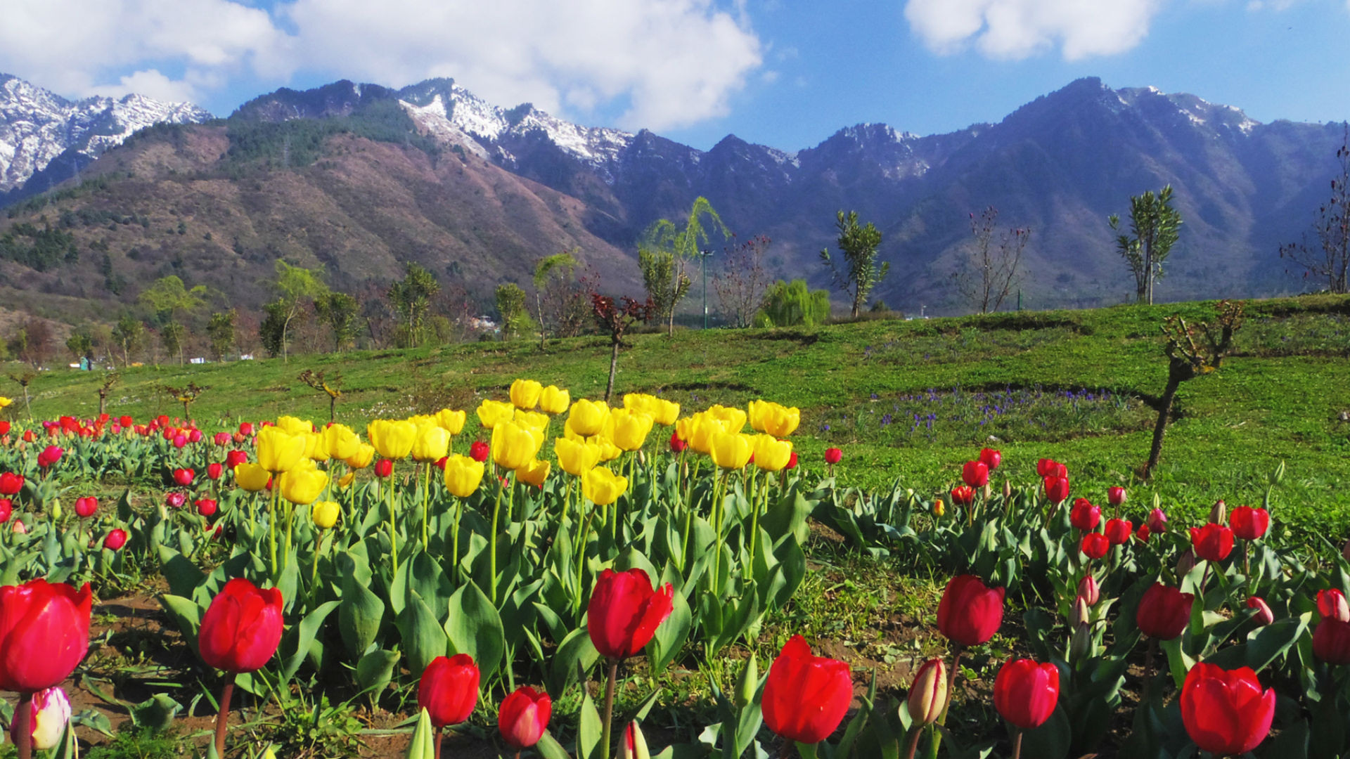 Srinagar - Edutour - Educational Tour Operator