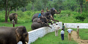 Magical South India