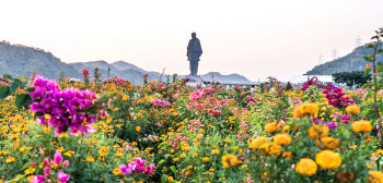 Delights Of Gujarat With Udaipur