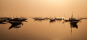 Delights Of Odissa