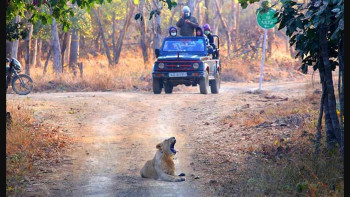 ShortTrip To Gujarat