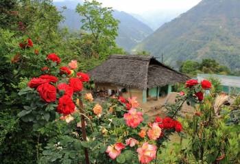 Short Trip To Pelling