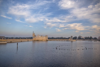 Delight Of Gujarat