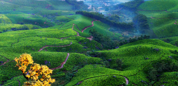 The Royal Route Of Kerala
